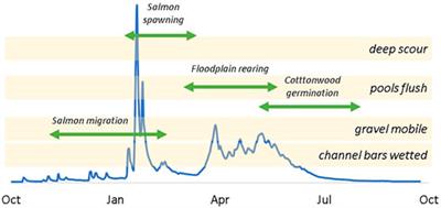 The California Environmental Flows Framework: Meeting the Challenges of Developing a Large-Scale Environmental Flows Program